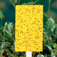 صفائح بولي بروبيلين صفراء فعالة من حيث التكلفة, ألواح صمغ للحشرات ، صيد فواكه ، ذبابة ، فخاخ لاصقة