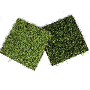 Di alta qualità eco-friendly Artificiale tappeto di erba 50*50 cm rag turf indoor outdoor