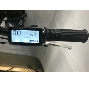 2018 Châu Âu Phổ Biến Dành Cho Người Lớn ĐĨA PHANH Điện Ba Bánh Với 6 Tốc Độ (FP-ETRI18001) - Product Image 6