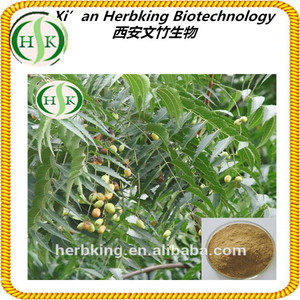بذور النيم/شجرة النيم بذور استخراج/azadirachta 5% - Product Image 2
