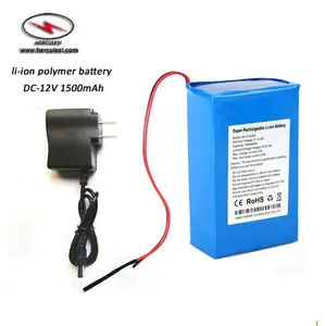 DC 12 V 1500 mAh 锂离子聚合物电池组，带 ON/OFF 开关用于备份