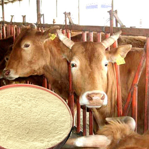 Probióticos para ganado vacuno/<span class=keywords><strong>vaca</strong></span>/oveja/<span class=keywords><strong>precio</strong></span> <span class=keywords><strong>de</strong></span> alimentación <span class=keywords><strong>de</strong></span> ganado - Product Image 2
