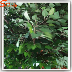 Exportación artificial robles ramas y <span class=keywords><strong>hojas</strong></span> artificiales <span class=keywords><strong>de</strong></span> árboles <span class=keywords><strong>de</strong></span> roble para la decoración - Product Image 6