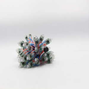 Chất Lượng Cao DC12V WS2811 IC IP68 Không Thấm Nước F5mm Chip RGB <span class=keywords><strong>9Mm</strong></span> Thay Đổi Màu Sắc Dẫn Chuỗi Điểm Ảnh Ánh Sáng - Product Image 6