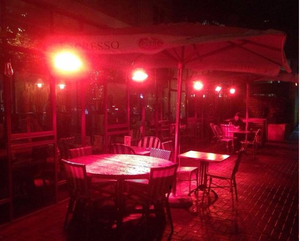 350mm 2000w 1000w ouro infravermelho aquecedor lâmpada quartzo halogênio aquecimento lâmpada - Product Image 6