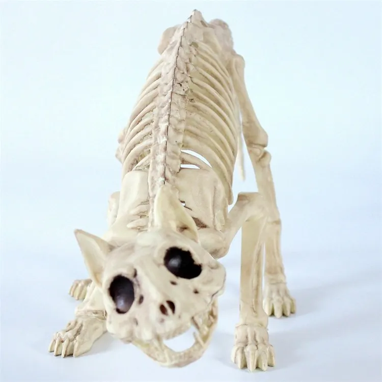 プラスチックスケルトンハロウィン猫スケルトン動物スケルトン