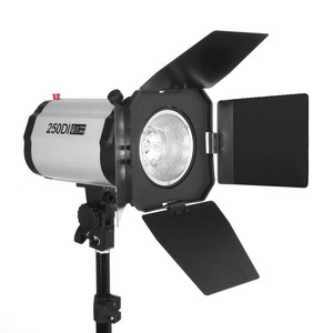 Godox 3 X 250Ws 250DI Studio Photography Strobe Photo Flash <strong>Light</strong> <strong>With</strong> <strong>Softbox</strong> Umbrella Carry Bag Kit - Product Image 1