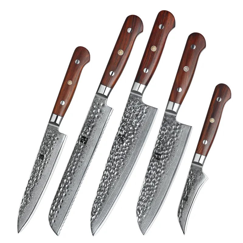 Xinzuo conjunto de facas de cozinha em aço damasco, profissional japonês, 5 peças, com cabo de madeira jacarandá