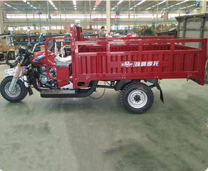 2019 chine tricycle à essence 300cc tricycle agricole moto <span class=keywords><strong>handicap</strong></span>é - Product Image 2