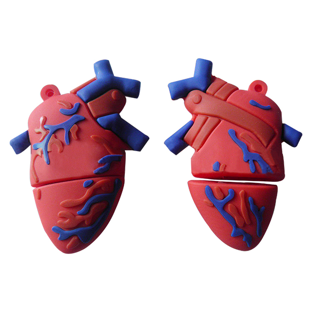 Custom Logo PVC USB 2.0 Flash Drive 16GB New Stock Heart Liver Shape Encrypted Medical Body Organ 1-Year Warranty