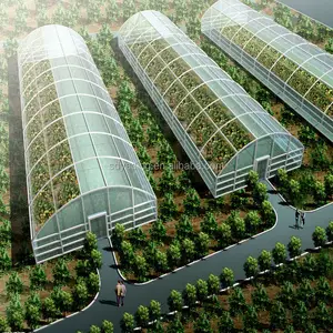 Agriculture tunnel seed greenhouse