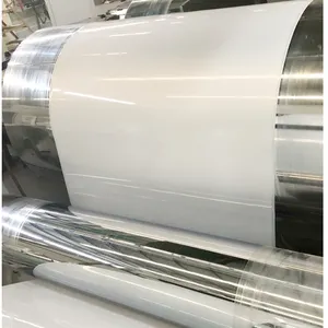 Qualità Foglio di Plastica PP Roll per Termoformatura PP di Grado Alimentare rotolo di plastica su misura di spessore per il packaging alimentare