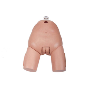 Simulador de punção de bexiga feminino, modelo de anatomia - Product Image 1