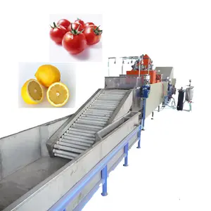 Orange Onion and Other Fruit Vegetable Washing Drying Waxing Machine