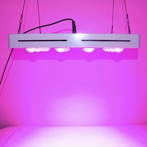 Lampes LED Fleurs Plante Lumière Cob LED Croissance Lumière 800 W - Product Image 4