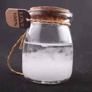 Diy Tetesan Air Kaca Badai Perkiraan Cuaca Botol Badai Swakriya Tampilan Botol Sains Stem Mainan