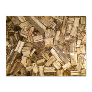Panneau de revêtement mural pour villa, prix d'usine, dalle de bois pétrifié brun naturel massif, pierre fossile à vendre - Product Image 4