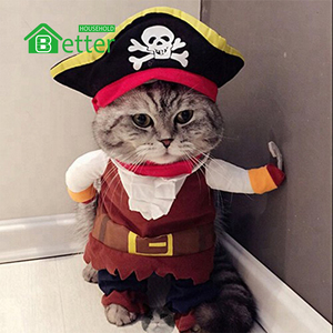 Roupa fantasia para animais de estimação, chapéu fantasia para cachorros e gatos