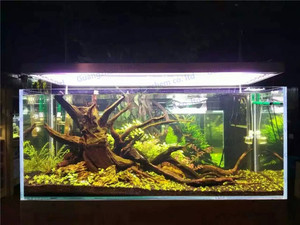 Kayu Apung Spiderwood untuk Akuarium, Dekorasi Akar Pohon, Tangki Ikan, Kayu Apung Alami - Product Image 4