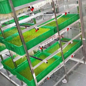 Système de culture de germes d'<span class=keywords><strong>orge</strong></span> de type conteneur |   Solution d'alimentation hydroponique pour les fermes - Product Image 2