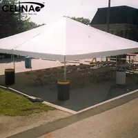 सेलिना तम्बू आश्रय 30X30 चंदवा कस्टम मुद्रित अनुकूलित चंदवा उद्यान पार्टी तम्बू के लिए बिक्री 30 फुट x 30 फुट (9 m x 9 m)