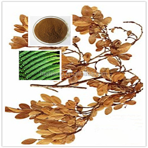 ¡<span class=keywords><strong>Catuaba</strong></span> Extracto de corteza de taninos <span class=keywords><strong>Catuaba</strong></span> P! - Product Image 2