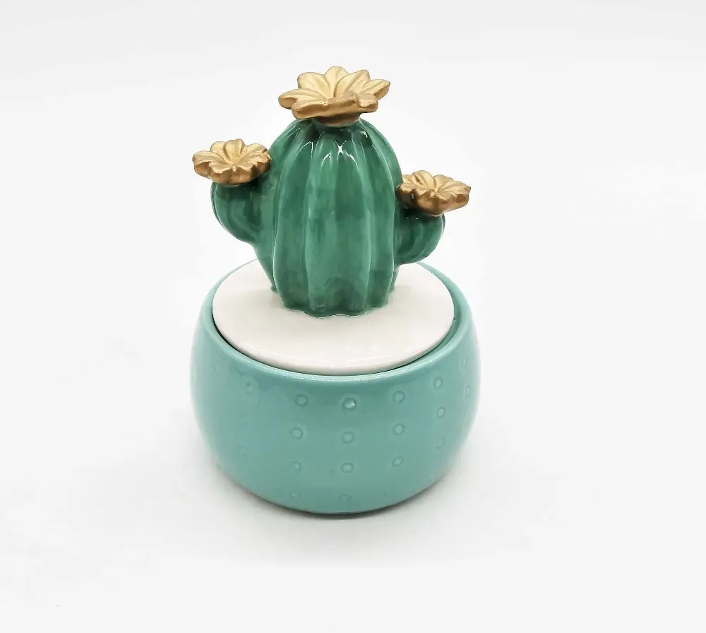 Caixa de <span class=keywords><strong>cerâmica</strong></span> de armazenamento de joias, feita à mão cactus design de cacto