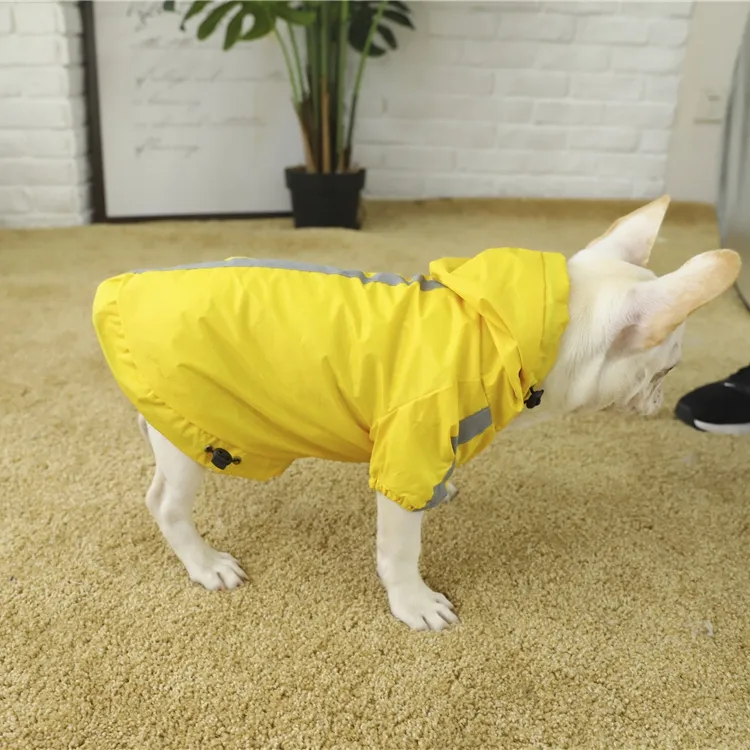 Imperméable à couverture complète pour chien, accessoire d'été Transparent et réfléchissant, convient au chien