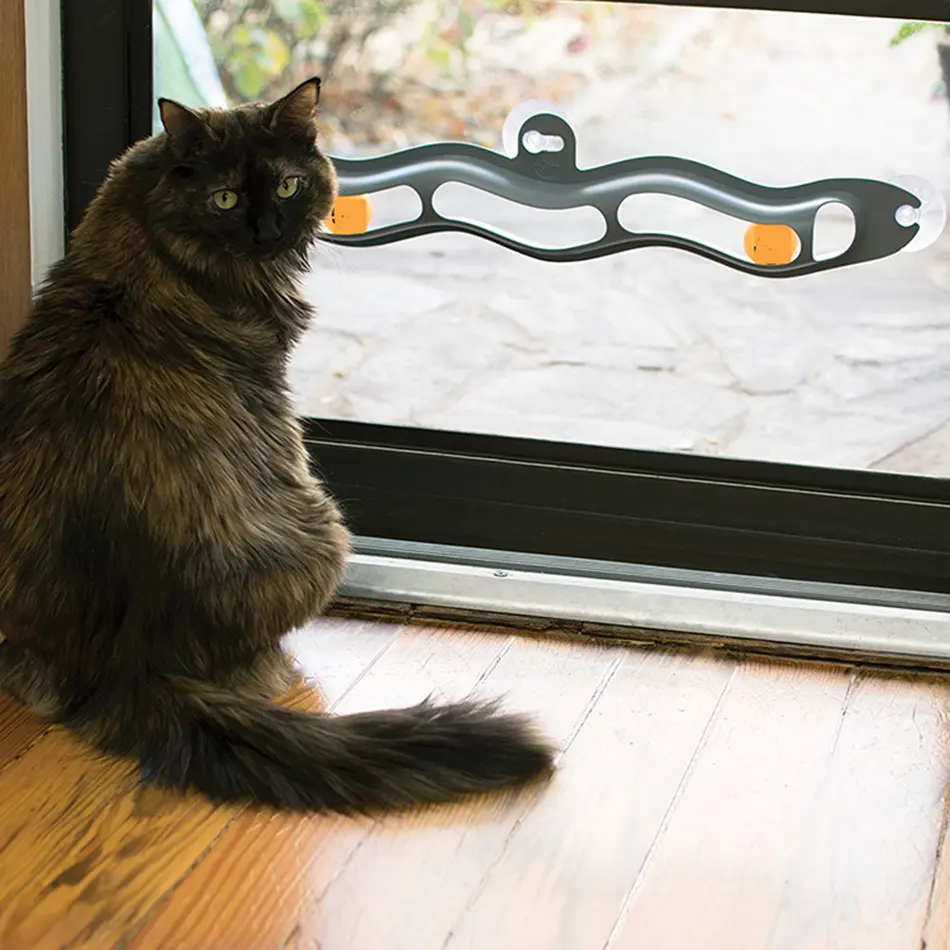 Divertente interattivo gattino finestra giocattolo intelligente ventosa tipo gattino teaser vendita calda prezzo a buon mercato simpatico gatto pista giocattolo con palla