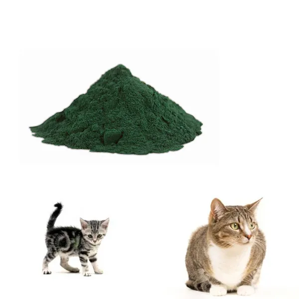 GMP Blue Spirulina High Protein Vitamin 100% pure Spirulina Powder for Animal Feed