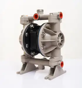 Chinese Twin Double Diaphragm Pump For Painting Fluid