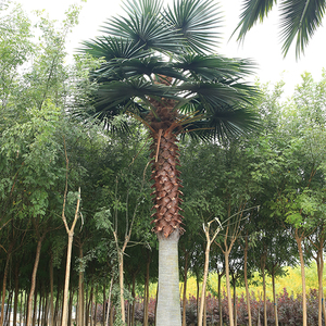 Ấn Độ chống UV chống cháy ngoài trời trang trí nhân tạo ngày washingtonia cây cọ - Product Image 6