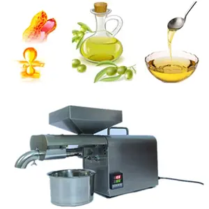 Professional cooking oil manufacturing machine peanut sesame cold press oil extractor