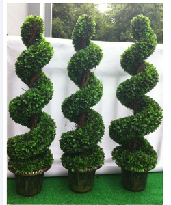 Many Size Boxwood Topiary Making Artificial shrub Bonsai plant