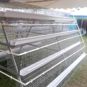 Cage d'élevage de volaille de haute qualité, automatique, système pour la semence des œufs, comprend une couche métallique, convient aux poules