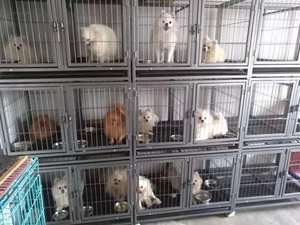 La fabbrica di buona qualità può essere utilizzata direttamente in casa o all'aperto gabbia per cani resistente portatile - Product Image 6