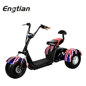 China Supplier 1000W Electric Scooter Price Adult 3 Wheel Electric Mobility Tricycle