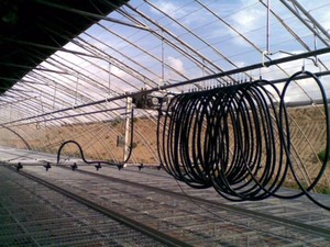 Yjfm <span class=keywords><strong>2021</strong></span> — technologie et équipement de pépinière modernes, Agriculture, lit de semis - Product Image 6