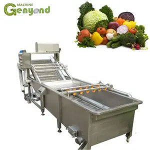빠른 냉동 야채 Tpye 터널 냉동고 기계 냉동 야채 및 과일 생산 라인