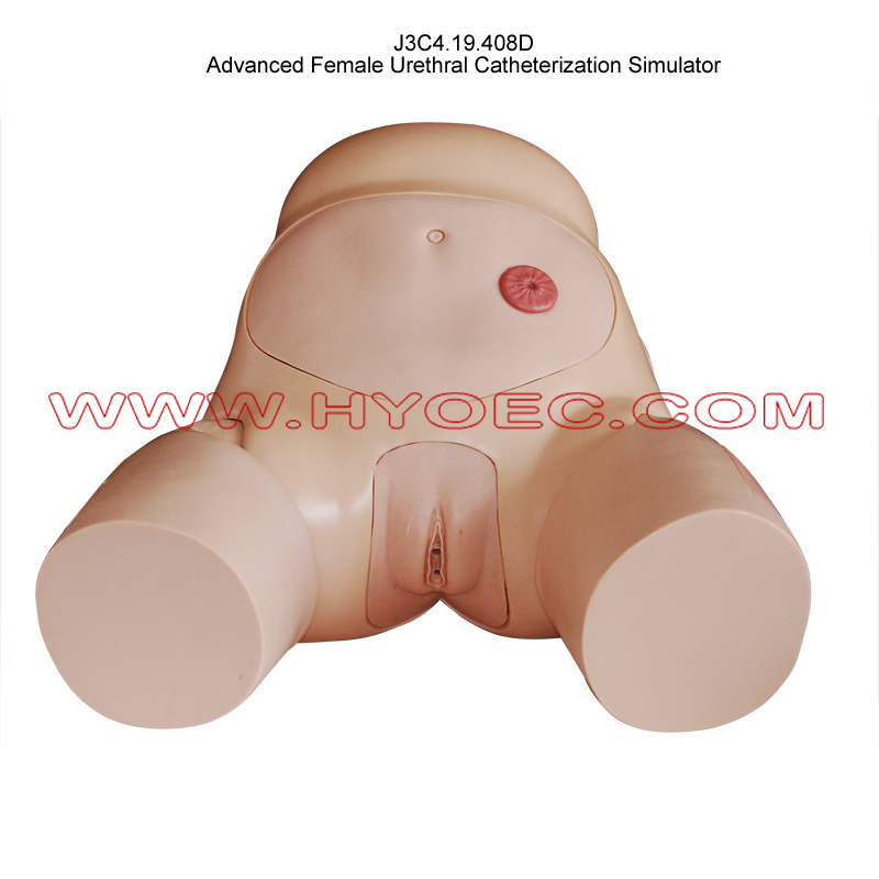 Уретральный катетеризационный симулятор для школ