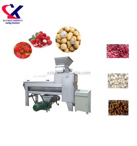 Yüksek Kaliteli Litchi/Lychee/Longan/Rambutan Soyma ve oyma makinesi, Hamuru ayıklama makinesi - Product Image 6