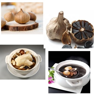 新的易于操作的家庭使用黑色大蒜发酵器制作黑色大蒜 - Product Image 6