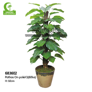ต้นบอนไซเทียมมีขนาดแตกต่างกัน - Product Image 3