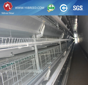 Jaula pollo automática de <span class=keywords><strong>la</strong></span> capa de <span class=keywords><strong>la</strong></span> granja de aves de corral - Product Image 1