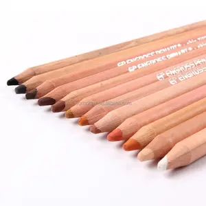 Juego profesional de 12 colores de lápiz, tintes de piel, lápices pastel suaves con caja de lápices