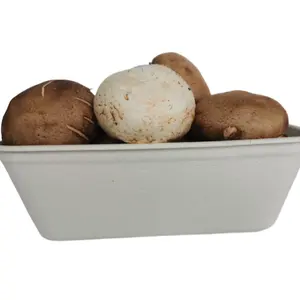 Biodegradable Sugarcane Mushroom Punnets Disposable Eco-Friendly Organic Vegetable Package