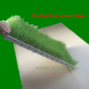 plateau en plastique pour l'agriculture, la germination des graines - Product Image 6