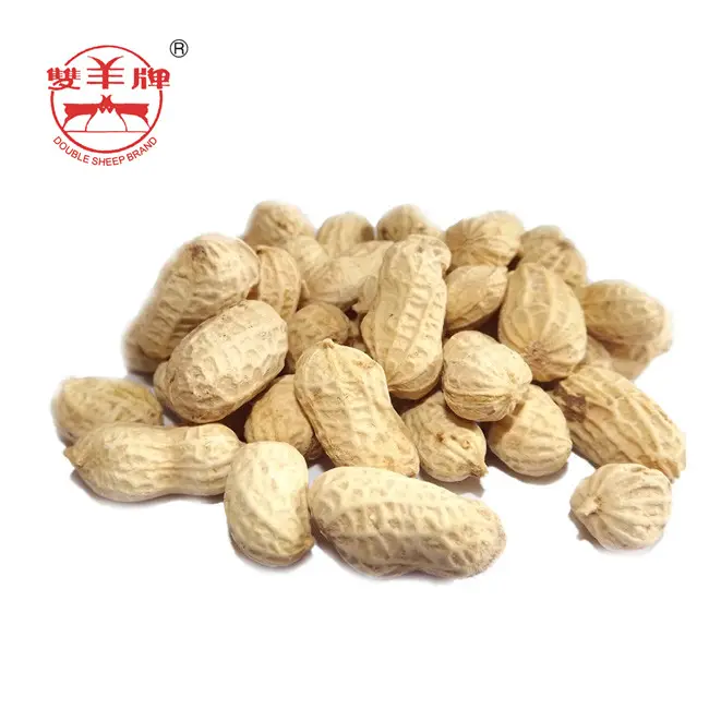 Gosto chinês de peanuts torneados com concha longian peanut rosátil