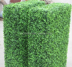 Vente chaude en plastique <span class=keywords><strong>haie</strong></span> <span class=keywords><strong>de</strong></span> <span class=keywords><strong>buis</strong></span> <span class=keywords><strong>buis</strong></span> artificielle panneau - Product Image 2