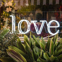 Letrero de Boda de Acrílico con LED de Neón, Diseño 'Happily Ever After', para Montar en la Pared